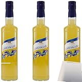 usy Bundle für Di Alfino Limoncello 26% Vol. 3er Pack (3x0,5L Flasche) + usy Block
