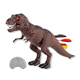 RC Ferngesteuerter Dinosaurier mit Fernsteuerung und integr. Akku, Robustes Spielzeug-Modell für Kinder in Jungen Jahren und Erwachsene, Modellbau ist ferngesteuert und geeignet für Anfänger