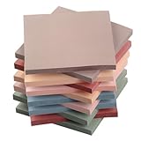 Newplenty Sticky Notes, 12 Packung Haftnotizen, 76 x 76mm Aesthetic Vintage Selbstklebende Klebezettel Notizzettel für Büro Zuhause Schule Sitzung (Zentimeter, 7.6x7.6)