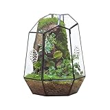 NCYP 20x17,5x25 cm Geschlossenes geometrisches Glas Terrarium mit Tür, Handgefertigt schwarzer unregelmäßiger Pflanztopf für Insekten, Sukkulenten Kakteen Dekoration (Ohne Pflanzen und Requisiten)