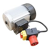 LESCHA ATIKA Ersatzteil | Motor 400V, 3,0kW für Holzspalter ASP 5,5 / ASP 6 N/ASP 8 N/SPL 6 / SPL 6 TP/SPL 8