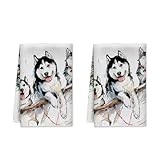 Husky Küchentücher, Fantasievoller verspielter Hund, Holz, Winter, weiß, saugfähig, weich, Geschirrtücher für Küche, Kabine, Dekoration, 40,6 x 61 cm, 2 Stück