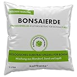 Kalapanta Bonsaierde 2L - Professionelle Mischung aus Blondtorf, Sand, Lapilli | Biologisches, Drainierendes Substrat für Bonsai Schale, Bonsai Erde, Starke Wurzeln