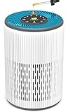 DAYETTE Portable Luftreiniger Allergiker mit Aroma, Nachtlicht, Timer, Ruhemodus (20 dB), HEPA Luftfilter gegen Schimmel, Staub, Pollen, Gerüche, Tierhaaren, Air Purifier