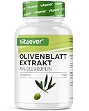 Olivenblatt Extrakt - 180 Kapseln mit je 650 mg - Olivenblattextrakt mit 40% Oleuropein = 260 mg - Laborgeprüft (Wirkstoffgehalt & Reinheit) - Hochdosiert - Vegan - Premium Qualität