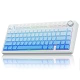 AULA F75 Mechanische Tastatur Gaming,2.4GHz/Type-C/BT5.0 Kabellos Gaming Tastatur 75 Prozent,Seitlich Eingravierte,Struktur der Dichtung,Hot Swappable Wireless Tastatur RGB(Blau mit Farbverlauf)