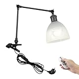 FSLiving Industrial Klemmleuchte mit Fernsteuerung, Einstellbar Clip auf Schreibtisch Leselampe,Dimmbar Clamp Nachttischlampe mit Flexarm für Schreibtisch Nachttisch Regal- TD/1151B