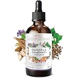 Phoenix der Lebenskraft EhrlichEx & AnaplasmEx Lebenselixier - Kräuterelexier nach dem Buhner Protokoll - 10 verschiedene Kräuter im 1:1 Extrakt - Unterstützung bei Ehrlichiose- & Anaplasmose