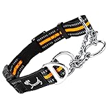 PETTOM Hundehalsband, Zugstopp Halsband Hunde mit Sicherheitsschloss, Halsband Breit Verstellbar und Reflektierend für Große Mittlere und Kleine Hunde