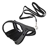 TOYANDONA 1Satz Katzengeschirr und Leine Set Verstellbares Brustgeschirr für Katzen mit Leine Atmungsaktives Material Komfortabel und Sicher für und Ausflüge