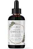 Veganes Omega 3 Algenöl Präparat | DHA und EPA aus der Mikroalge Schizochytrium sp. | Mit Vitamin D3 | Auf Basis von Bio Hanfsamenöl | Hoher Anteil an Alpha-Linolsäure und Alpha Linolensäure, 100 ml