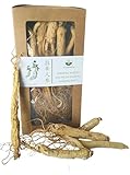 Ginseng (Ginsengwurzel) Energie Vitalität | Traditionelle asiatische Medizin seit Jahrtausenden | Ginseng-Kräutertee | 50g - ginseng pflanze