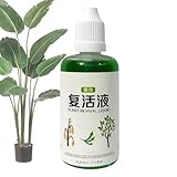 Bvizyelck Wurzelstimulator Für Pflanzen | Flüssiger Bewurzelungshelfer | 50ml Biologische Lösung Schnelles Wachstum Sicher Für Kompost Bäume Rosen Rasen Hydrokultur Tomaten Blumen Früchte Stecklinge