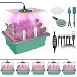 MQHUAYU anzuchtkasten mit licht mit vollem Spektrum, 5 Stück / 60 Zellen Intelligenter Timer zimmergewächshaus anzuchtkasten mit Luftfeuchtigkeitskuppel, Saatschalen für die Pflanzenzucht