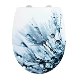 WENKO WC-Sitz Mod. Sereno, Strukturierte Oberfläche, Toilettendeckel mit Absenkautomatik aus bruchstabilem Thermoplast, recycelbarer Kunststoff, 36,5 x 45 cm, Mehrfarbig