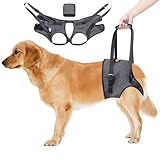 Tragehilfe Hund -Tragbares Hundegeschirr für die Hinterbeine,Verstellbares Hunde Aufzugsgeschirr, Hunde Tragegeschirr für ältere, behinderte Hunde & jene mit Mobilitätsproblemen-Grau (L)