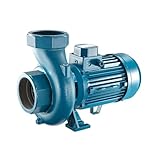FORAS SD80/2 Kreiselpumpe - 2,2kW 400V Gusseisen Oberflächenpumpe für saubere Wasserübertragung - 7,6 cm Einlass/Auslass, hoher Durchfluss, industrieller Einsatz
