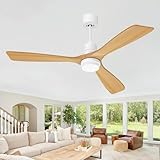 Biukis Deckenventilatoren mit Beleuchtung und Fernbedienung, moderne Deckenventilatoren, Deckenventilatoren 52 Zoll für Innen/Außen