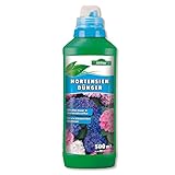 Allflor Hortensiendünger I Rhododendron Dünger I Blumendünger flüssig I 500 ml I Fördert langanhaltende Blütenpracht bei Zimmer- & Balkonpflanzen I Flüssigdünger mit idealer Nährstoffkombination