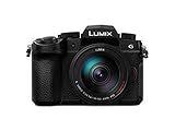 Panasonic Lumix DC-G91 + G Vario 14-140mm / 3.5 - 5.6 Aspherical Power O.I.S