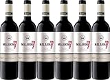 Bodegas Vallobera Malarina Rioja DOCa 2024 Trocken (6 x 0.75 l)