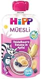 HiPP Müesli Heidelbeere Banane in Apfel mit Joghurt, Quetschie ab 1 Jahr, 120g