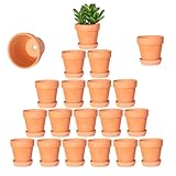 Nursery pots 20 Stück 8 cm Terrakotta-Töpfe mit Untertasse, Kaktus Terracotta Blumentöpfe mit Drainage, Sukkulenten-Kinderzimmer, ideal für Pflanzen, Bastelarbeiten, Hochzeitsgeschenk