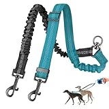 1 Stück Kein Verheddern 360° drehbarer Splitter Doppelleine fur Zwei Hunde,Doppelte Hundeleine,Verstellbare stoßdämpfende Bungee-reflektierende Leine für Hunde klein mittlere und große Lauftraining.