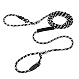 Hundeleine 3m - Umhängeleine & Doppelleine perfekt für große Hunde-Klassische Hundeleinen, hundeleine kleine Hunde leicht - Doppelleine für 2 kleine Hunde, leicht (Schwarz)