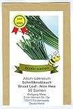 Schnittknoblauch - winterhart - Ky Broad Leaf - Nien Hwa - 50 Samen