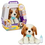 Little Live Pets My Really Real Puppy – Patches; Interaktiver Welpe; 60+ Geräusche/Reaktionen; realistisches Aussehen; 1 aus 72 Varianten; Spielset mit Transportbox; Batterien enthalten; ab 5 Jahren