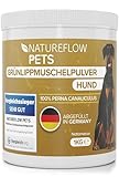 Grünlippmuschel Hund TESTSIEGER - 1kg natürliches Grünlippmuschelpulver für Hunde - Unterstützung der Gelenkfunktion - Grünlippmuschel für Hunde mit Hoher Akzeptanz - Grünlippmuschelpulver Hund