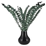 Generisch Eukalyptus Für Die Dusche,Natürliche Große Eukalyptus Stiele 10 Stiele - Trockendeko Bund für Zuhause Wohnung Spa Blumengeschäft