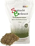 10kg für ca. 300 m² Schattenrasen dürreresistent Rasensamen Qualität Rasen Rasensaat Rasenmischung