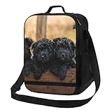 EgoMed Lunchtasche, langlebige, isolierte Lunchbox, wiederverwendbare Tragetasche, Kühltasche für die Arbeit, SchuleAffenpinscher-Familienwelpen Schwarze Hundeaffe