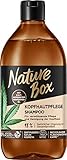 Nature Box Shampoo Kopfhautpflege (385 ml), Haarshampoo pflegt & reinigt die Kopfhaut, mit kaltgepresstem Hanfsamen-Öl, gegen Schuppen, Flasche aus 100 % recyceltem Social Plastic