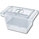 Wave Amtra Laichraum - 3 in 1 Aquarienfischzuchtbecken mit Deckel, schwimmend, transparent, 12 x 6 x 6 cm