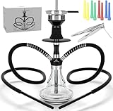 NOBLE HOOKAH 43cm Reise Shisha Set Klein Shisha Mini Shisha to go mit Hochwertigem Zubehör - mundgeblasene Flasche und Edelstahl-Downpipe 2 Schläuche und Griffe