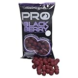 Starbaits Bouillettes Pro Blackberry Boilies, 800 g, 20 mm, Rouge, 65186