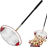 Nusssammler,Walnuss Sammler,Eichelpflücker Obere Walze Obstsammler Rollsammler Obstpflücker mit Teleskopstiel Apfelpflücker Große Kapazität Tragbar Sammler für Walnüsse Pekannüsse Kastanien (34cm)