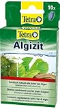 Tetra Algizit - vordosiertes Algenmittel mit schneller Biozid- Wirkung, hilft bei aktuten Algenproblemen im Aquarium, 10 Tabletten