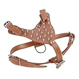 BAZEITFLOW Verstellbares Welpengeschirr mit Metallrundnieten Komfortables Outdoor Geschirr für Kleine und Große Hunde Robustes Reisegeschirr Atmungsaktiv und Tragbar