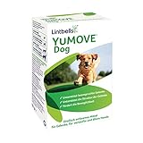 YuMOVE Gelenktabletten für Hunde mit Grünlippmuschel, Glucosamin, Chondroitin - Hüft- und Gelenkergänzung für steife ausgewachsene Hunde |6 bis 8 Jahre |60 Tabletten | Lintbells