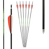 6er Pack - Carbonpfeil - Sphere Slimline Pro - mit Vanes - Spine: 800 (15-35 lbs) - 30 Zoll; Bogenschießen mit Pfeil und Bogen, Bogensport