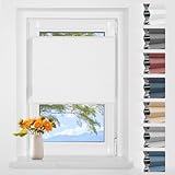 Wabenplissee Plissee ohne Bohren Verdunklung Verdunklungsplissee Klemmfix Zweifarbig Weiß -Weiß 40x80cm(BxH) Faltrollo 100% Blickdicht Sonnenschutz & Schallschutz Plisseerollo für Fenster & Tür