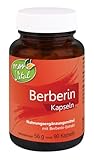 KOPP Vital® Berberin | 90 Kapseln | 56 g | rote Beeren | indischer Tradition | reines Berberin | Berberitze | Sauerdorn | Essigbeere