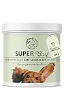 Annimally Barf Zusatz Pulver für Hunde 500g, Barf Complete Vitamine & Mineralien Mix für die optimale Nährstoffversorgung - Hund Mineralstoffe Futterzusatz mit Gemüse, Obst und Vitaminen