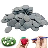 GXGM 40 Stück Kieselsteine zum Bemalen Flach, 1-3 cm Natur Dekosteine,Kies Dekosteine Naturstein,DIY Rocks Beach Pebbles Malsteine Für Bunte Malerei Aquarien Haus Gartendekoration