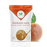 Natural Probio® Original Kombucha Scoby - Culture Starter Kit - Authentic Strain Kombucha Mother + Vollständige Anleitung, Rezept und Tipps + Kostenloser Zugang zum E-Book