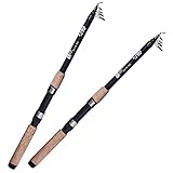 Zite Fishing Angelruten Set | 2 Stück Teleskop-Rute 2,70m 30-80g | Spinnrute mit Fiberglas-Blank | Allround-Rute mit Komfort-Korkgriff | Auch für Kids & Anfänger